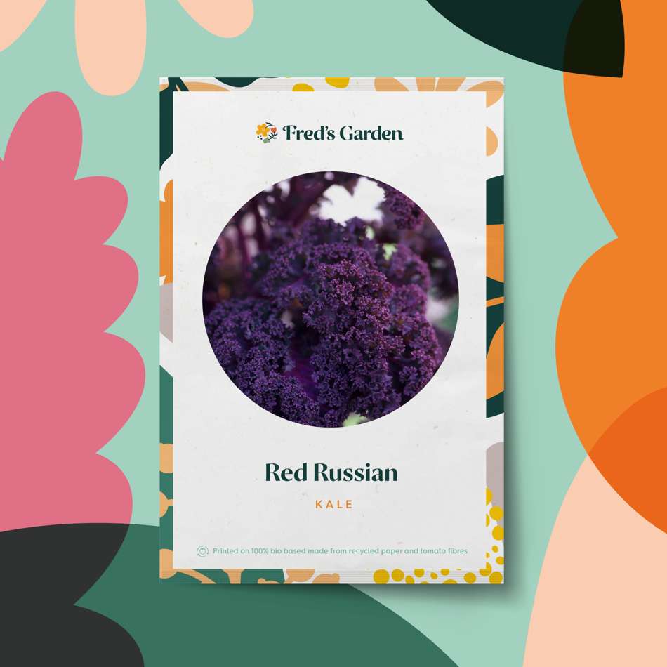 Grönkål 'Red Russian' (frö)